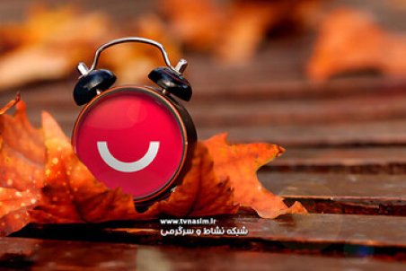 مادر ارسطوی «پایتخت» مهمان تلویزیون شد