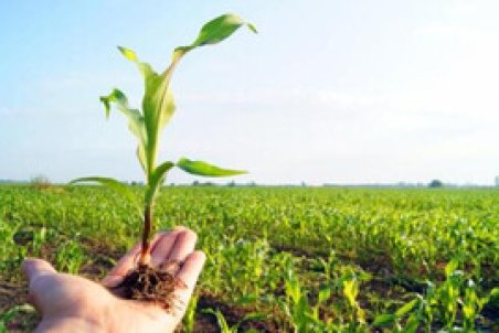 کاهش ضایعات کشاورزی با بهبود فرآیند تولید تا مصرف