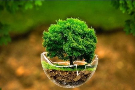 عزم دولت سیزدهم در اجرای سیاست‌های کلی محیط‌زیست