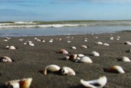 مرگ خاموش بزرگترین خلیج «خزر»/ طرح علاج بخشی خلیج گرگان ۷ ساله شد