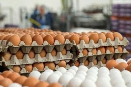 تخم‌مرغ هم از سبد غذایی خانوار‌ها حذف شده؟