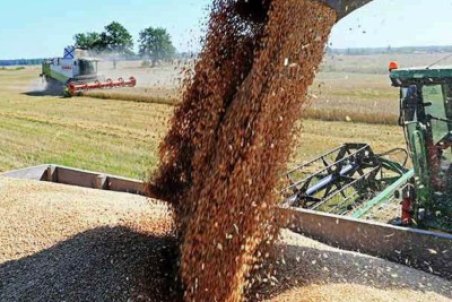 آیا واردات گندم آلوده به سرب از روسیه صحت دارد؟