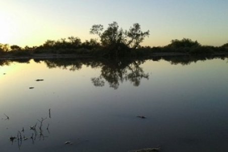 آبگیری ۵۰ درصدی تالاب جازموریان در پی بارش‌های اخیر