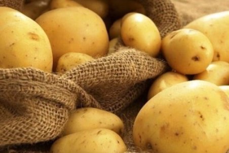 قیمت سیب‌زمینی چهره ایلامی‌ها را سرخ کرد/ بازهم دست دلال‌ها در کار است