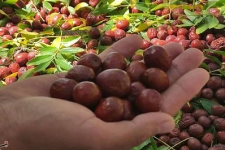 چالش فرآوری یاقوت کویر در قطب تولید/ فروش فله‌ای و سودهایی که به جیب دلالان می‌رود