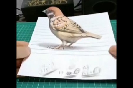 نقاشی سه بعدی از حیوانات + فیلم