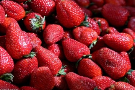 عرضه توت فرنگی با نرخ ۲۰۰ هزار تومان غیر منطقی است