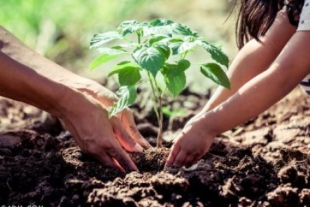 روز درخت‌کاری در تقویم ایران چه روزی است ؟