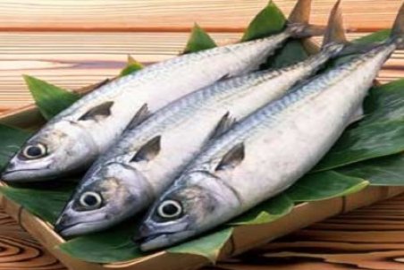 قیمت انواع ماهی در بازار