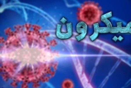 جزایری: خطر بستری افراد مبتلا به امیکرون ۵۰ درصد کمتر از سویه دلتا است