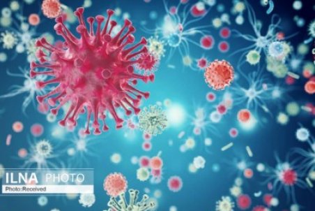 اردکان قرمز شد/مدارس حضوری تا دو هفته آینده تعطیل است