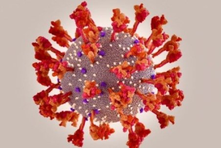 جمعیت بستری‌های کرونایی استان قزوین ۱۷ درصد افزایش یافت