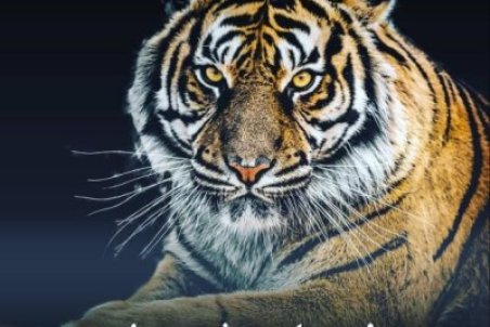 عکس نوشته های انگیزشی جدید