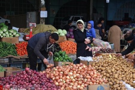 کاهش ۳۰درصدی خرید میوه/ ذخیره‌سازی میوه شب عید انجام شده است