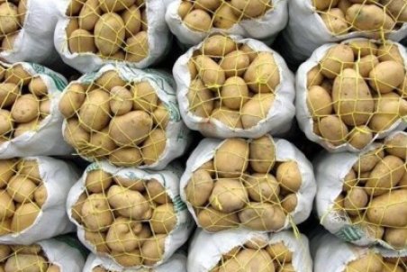 چرا سیب زمینی گران شد؟ / قیمت ۲۰ هزار تومان را تایید نمی کنیم