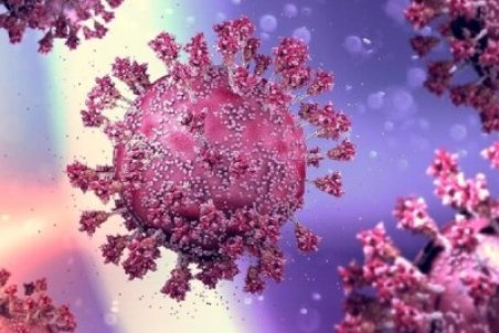 افزایش نگران‌کننده روند ابتلا به کرونا در بوشهر /اُمیکرون شبیه سرماخوردگی است