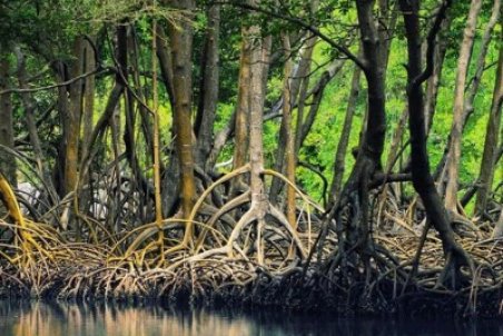 ۱۰ جاذبه‌ گردشگری چابهار + عکس و آدرس