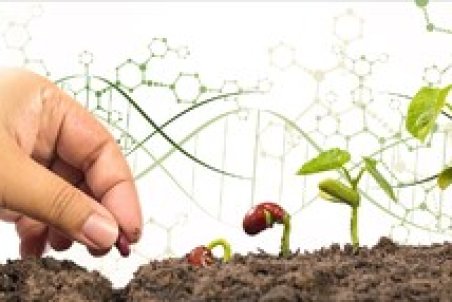 تولید کیت تشخیص آلاینده‌ها در پژوهشگاه بیوتکنولوژی کشاورزی