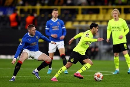 فصل سیاه زنبورهای آلمان