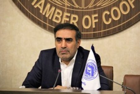 سهم فعلی بخش تعاون؛ کمتر از ۶ درصد