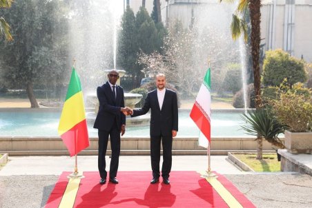 دیدار وزرای امور خارجه ایران و مالی آغاز شد