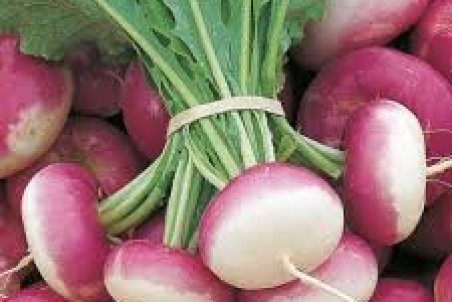 کرونا و سرما، شلغم را گران کرد!