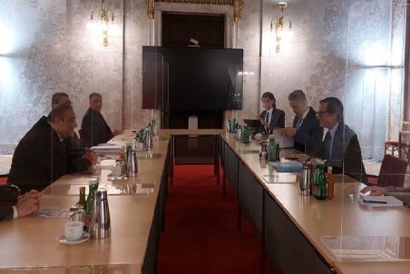 صفری بر لزوم گسترش روابط اقتصادی و تجاری تهران - وین تاکید کرد