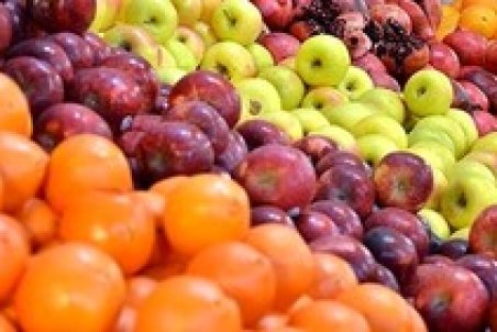 خرید بالاتر از قیمت واقعی میوه از سوی سازمان تعاونی روستایی