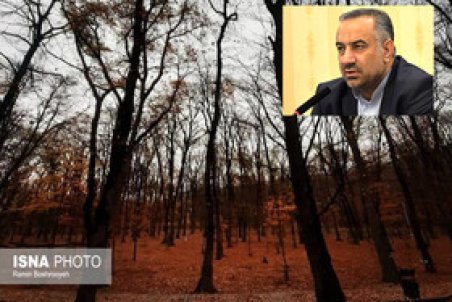 از اسناد یال قلعه حسن گرگان چه خبر؟!