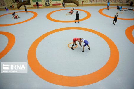 واکنش سخنگوی دولت به صادرنشدن روادید آمریکا برای برخی اعضای تیم کشتی ایران