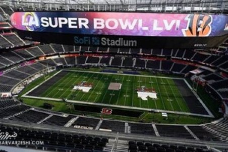 زوج مشهور هالیوود تماشاگر بازی بزرگ/عکس