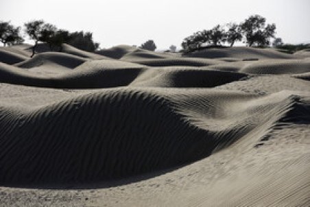 ۴ پروژه برای رونق اقتصاد مناطق شورپسند