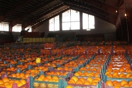 رییس کمیسیون اقتصادی مجلس: پیگیر توسعه صادرات از طریق دیپلماسی اقتصادی هستیم