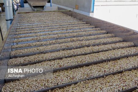 پسته زرندیه منتظر توافق خوب در وین