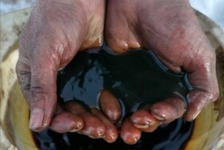 علاج قیمت بالای نفت، قیمت بالاتر است!