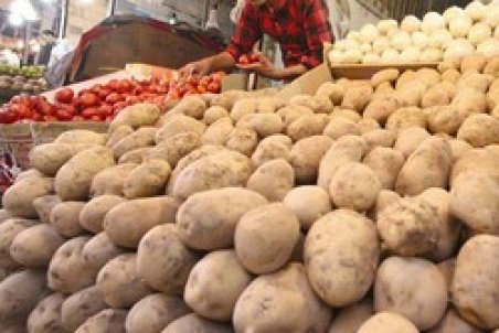 قیمت سیب‌ زمینی در مشهد طی روزهای آینده کاهش می‌یابد