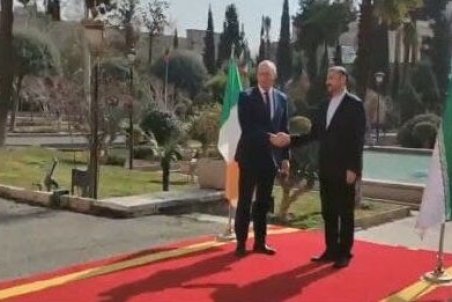 وزیر امور خارجه ایرلند با امیرعبداللهیان دیدار کرد