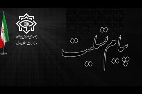 وزیر اطلاعات ارتحال آیت­‌الله­ صافی گلپایگانی را تسلیت گفت