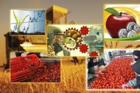 صدور مجوز ۹ طرح صنعتی کشاورزی در خوزستان