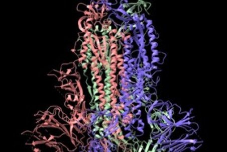 استاندارد ملی برای ارزیابی اثر نانومواد بر ساختار پروتئین‌ها تصویب شد
