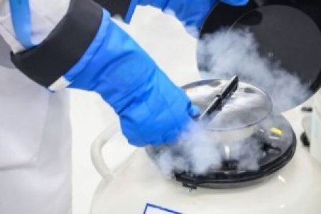 چه کسانی باید تخمک و اسپرم فریز کنند؟