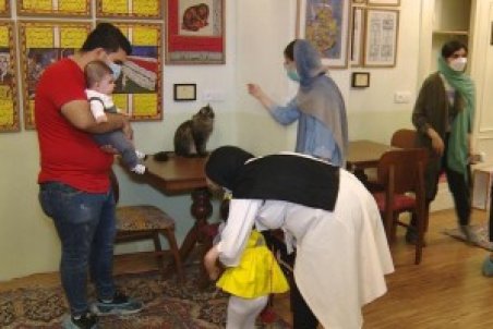 (ویدئو) کافه گربه تهران؛ خانه‌ای برای گربه دوستان