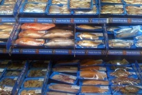 ۲۱ هزار تن محصولات آبزیان تولیدی استان بوشهر صادر شد