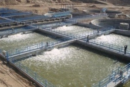 عملیات جنگل‌کاری برای تولید چوب نئوپان با استفاده از پسآب فاضلاب بوشهر آغاز شد