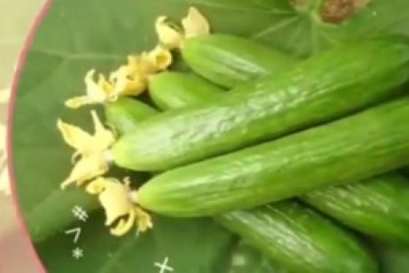 مزایا و فواید خیار در سلامتی + فیلم