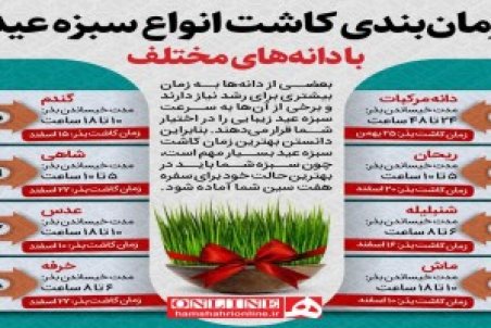 بهترین زمان برای کاشت سبزه عید نوروز با انواع دانه