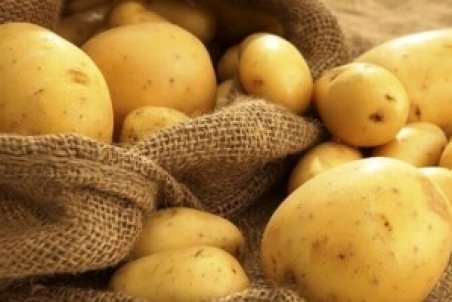 وقتی بارندگی و سرما در استان خراسان جنوبی سبب افزایش قیمت سیب زمینی می‌شود