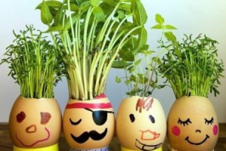 ۲ روش کاشت سبزه در پوست تخم مرغ