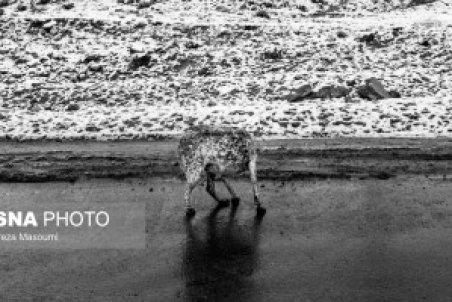 برف در حوالی