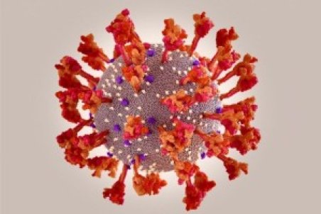 نسبت به بهمن‌ماه افزایش ۵ برابری نرخ ابتلا در استان اصفهان ثبت شده است